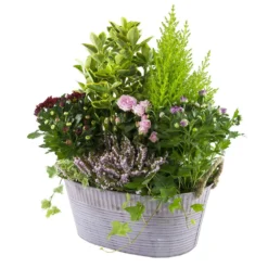 Composition D’Automne : Bassine Zinc, Ø 30 cm - - Coloris Variables -Jardin Harmonie Soldes Boutique 199534 011