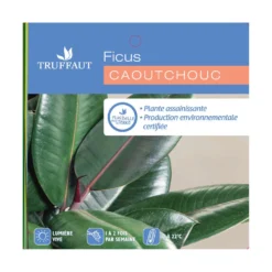 Caoutchouc : 3 Pieds Pot -Jardin Harmonie Soldes Boutique 28705 001