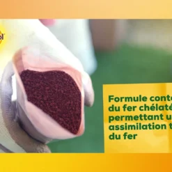 Solabiol Soseq01 | Sequestrene Antichlorose 100g | Action Longue Durée | Fabriq -Jardin Harmonie Soldes Boutique 34a89de4028d27b8