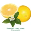 Pomelos A Chair Jaune Bio Tailles:pot De 3 Litres, Hauteur 30/40 Cm -Jardin Harmonie Soldes Boutique 41612e67e5322872