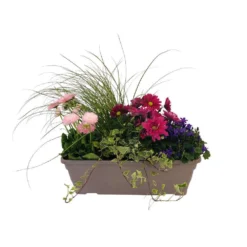 Jardinière De Bisannuelles Et Vivaces 40 Cm - Coloris Variables -Jardin Harmonie Soldes Boutique 417571 004