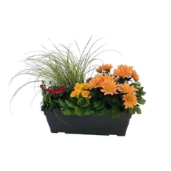 Jardinière De Bisannuelles Et Vivaces 40 Cm - Coloris Variables -Jardin Harmonie Soldes Boutique 417571 007