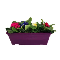 Primevères En Jardinière De 40cm Couleur - Coloris Variables -Jardin Harmonie Soldes Boutique 440466 010