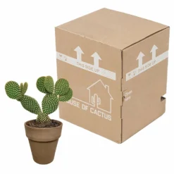 Opuntia Microdasys Et Son Cache-pot Marron - H40cm, ø17cm - Plante D'intérieur -Jardin Harmonie Soldes Boutique 48d55715481eec9b