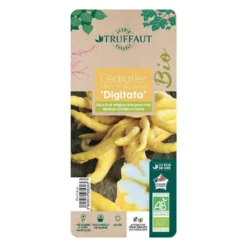 Main De Bouddah:AB Conteneur 3 Litres -Jardin Harmonie Soldes Boutique 493536 006 1