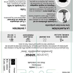 Lavandula Angustifolia Anna : C. 3L 7 Lavandula Angustifolia Anna : C. 3L -Jardin Harmonie Soldes Boutique 510699 005