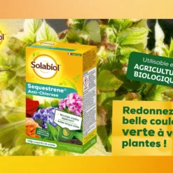 Solabiol Soseq01 | Sequestrene Antichlorose 100g | Action Longue Durée | Fabriq -Jardin Harmonie Soldes Boutique 60510aa3446804f5