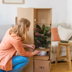 Plante D'intérieur - Monstera Deliciosa Xl 75cm -Jardin Harmonie Soldes Boutique 6377dd51004930.76193795