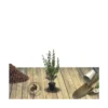 Seringat Commun Coronarius/pot De 4l - 40/60 Cm -Jardin Harmonie Soldes Boutique 63ed36e9544569.86427109