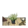 Osmanthe Heterophyllus/pot De 3l - 40/60 Cm -Jardin Harmonie Soldes Boutique 63f4ba1bb6f6d8.92513690