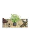 Escallonia X Donard Radiance/pot De 3l - 20/40 Cm -Jardin Harmonie Soldes Boutique 63f4ba29b83c45.99982197