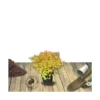 Spirée Japonica Golden Princess/pot De 3l - 20/40 Cm -Jardin Harmonie Soldes Boutique 63f4ba4c3847e7.51849775