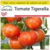 Kit De Culture - Tomate Tigerella - 10 Graines - Lycopersicon Esculentum -Jardin Harmonie Soldes Boutique 64064139be26e2.18105117