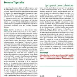 Kit De Culture - Tomate Tigerella - 10 Graines - Lycopersicon Esculentum -Jardin Harmonie Soldes Boutique 64064139cf1d13.09091706