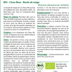 Kit De Culture - Bio - Chou-fleur - Boule De Neige - 70 Graines - Brassica Oleracea Var. Botrytis -Jardin Harmonie Soldes Boutique 6406413d407ee0.82661291