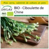 Kit De Culture - Bio - Ciboulette De Chine - 100 Graines - Allium Tuberosum -Jardin Harmonie Soldes Boutique 6406414b0c1685.25541867