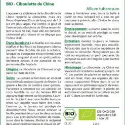 Kit De Culture - Bio - Ciboulette De Chine - 100 Graines - Allium Tuberosum -Jardin Harmonie Soldes Boutique 6406414b121373.86359171