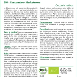 Kit De Culture - Bio - Concombre - Marketmore - 20 Graines - Cucumis Sativus -Jardin Harmonie Soldes Boutique 640641696a9b18.60145631
