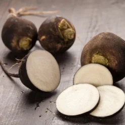 Kit De Culture - Bio - Radis - Noir - 100 Graines - Raphanus Sativus -Jardin Harmonie Soldes Boutique 64064173d81689.02005216