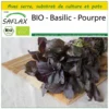 Kit De Culture - Bio - Basilic - Pourpre - 400 Graines - Ocimum Basilicum -Jardin Harmonie Soldes Boutique 6406417779c0a9.51217197