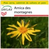 Kit De Culture - Arnica Des Montagnes - 40 Graines - Arnica Montana -Jardin Harmonie Soldes Boutique 640641a909b7e4.18340636