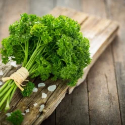 Kit De Culture - Bio - Persil Frisé - 800 Graines - Petroselinum Crispum -Jardin Harmonie Soldes Boutique 640641ae9189a2.76545135