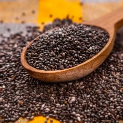 Kit De Culture - Bio - Sauge - 60 Graines - Salvia Officinalis -Jardin Harmonie Soldes Boutique 640641bf510530.24887861