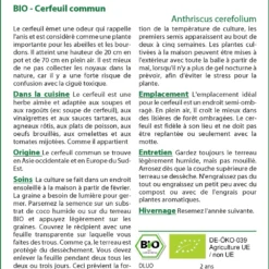 Kit De Culture - Bio - Cerfeuil Commun - 800 Graines - Anthriscus Cerefolium -Jardin Harmonie Soldes Boutique 640641c8a98f11.52285899