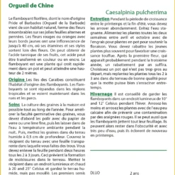 Kit De Culture - Orgueil De Chine - 10 Graines - Caesalpinia Pulcherrima -Jardin Harmonie Soldes Boutique 640641f136dc53.00647808