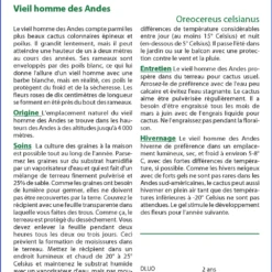 Kit De Culture - Vieil Homme Des Andes - 40 Graines - Oreocereus Celsianus -Jardin Harmonie Soldes Boutique 64064213301845.95828863