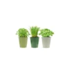 3 Pots D'herbes Aromatiques -Jardin Harmonie Soldes Boutique 640a28507d91e1.45507762