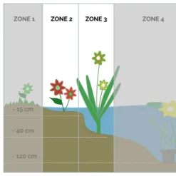6x Mélange De Plantes Fleuries Pour Bassin - Zone 2 & 3 - Entretien Facile - ⌀9 Cm - ↕05-20 Cm -Jardin Harmonie Soldes Boutique 640b20831be7c5.54468523