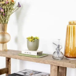 Dionaea Muscipula – Plante Carnivore – Peu D'entretien – ⌀12 Cm – ↕10-15 Cm -Jardin Harmonie Soldes Boutique 640b20a5e78e48.00125916