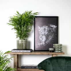 Chamaedorea Elegans - Palmier Nain Mexicain - Purificateur D'air – ⌀17 Cm - ↕50-60 Cm 9 Chamaedorea Elegans - Palmier Nain Mexicain - Purificateur D'air – ⌀17 Cm - ↕50-60 Cm -Jardin Harmonie Soldes Boutique 640b21045e72a5.33117055