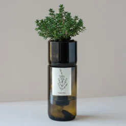 Kit Irrigation Basilic Prêt à Pousser -Jardin Harmonie Soldes Boutique 6420e04c2b59d5.05242091