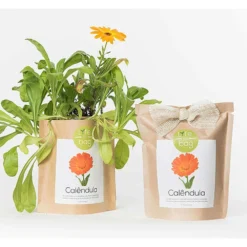 Sac Papier Prêt à Cultiver Calendula -Jardin Harmonie Soldes Boutique 6420e04cca6d08.48418237