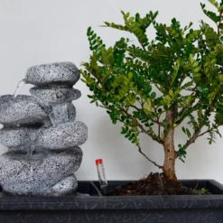Set Bonsaï Et Cascade-pierres - Support L.30cm- H.25-30cm -Jardin Harmonie Soldes Boutique 6422e176e22588.29286272