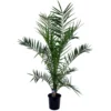 Phoenix Canariensis - Palmier Dattier - Pot 19cm - Hauteur 80-100cm -Jardin Harmonie Soldes Boutique 6426d611ccb7b4.95453889