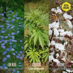 Coffret De Semences Textile Tissus Etoffe Et Fil -Jardin Harmonie Soldes Boutique 642d66ace6f211.93606402