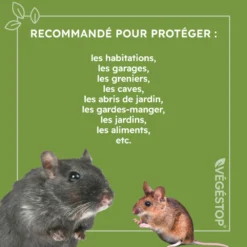 Répulsif Rats, Souris & Mulots - 500 Ml -Jardin Harmonie Soldes Boutique 6440382b6488e6.81824932