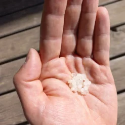 Nématodes Mouches Des Terreaux En Micro-capsules Par 200 -Jardin Harmonie Soldes Boutique 644181f5c5e9a8.52300689