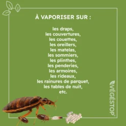 Insecticide Anti Punaises De Lits - Preventif - 500 Ml -Jardin Harmonie Soldes Boutique 6448242a098451.29082038