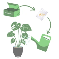 Nématodes Spécifiques Contre Les Otiorhynques 5 Millions -Jardin Harmonie Soldes Boutique 644c0daa0ef981.11544754