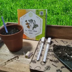 Coffret De Semences Médicinales Aromatique Apéritifs Régionaux -Jardin Harmonie Soldes Boutique 645a39a7621da9.71396115