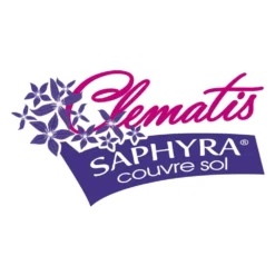 Clématite Saphyra® Violetta "m32-10'/pot De 1,5l - Tuteur Bambou 30/60 Cm -Jardin Harmonie Soldes Boutique 645d8588a2e9e0.30160117