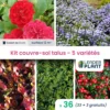 Kit Couvre Sols Talus - 5 Variétés - Lot De 38 Plants En Godet -Jardin Harmonie Soldes Boutique 6495cc2c174433.01859377