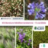 Kit Bordure Méditerranéenne - 5 Variétés - Lot De 8 Plants En Godet -Jardin Harmonie Soldes Boutique 6495cc2c6c8e33.93252114