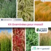 Kit Graminée Pour Massif – 7 Variétés – Lot De 11 Plants En Godet -Jardin Harmonie Soldes Boutique 6495cf9c577c23.26811262