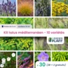 Kit Talus Méditerranéen - 10 Variétés - Lot De 30 Plants En Godet