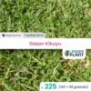 225 X Gazon Kikuyu En Godet -Jardin Harmonie Soldes Boutique 6495cfc04a8c41.15360816